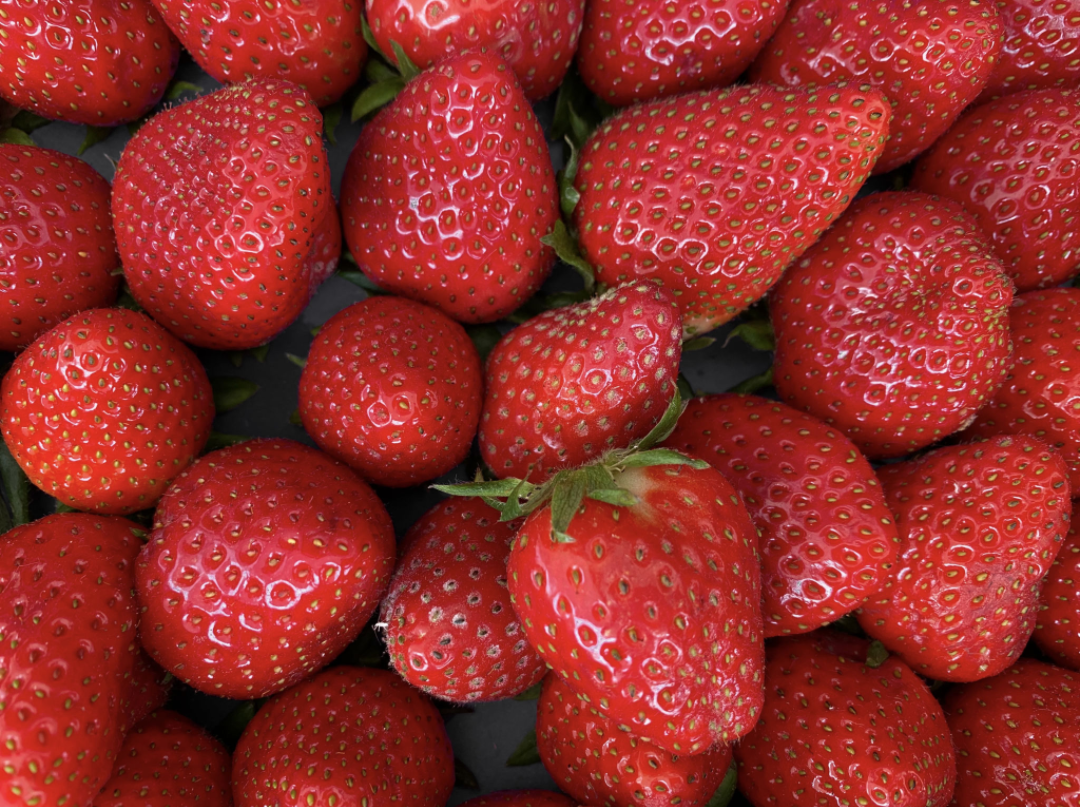 Strawberry Flavored Yak Cheese Chew - made with REAL STRAWBERRY Puree - Single